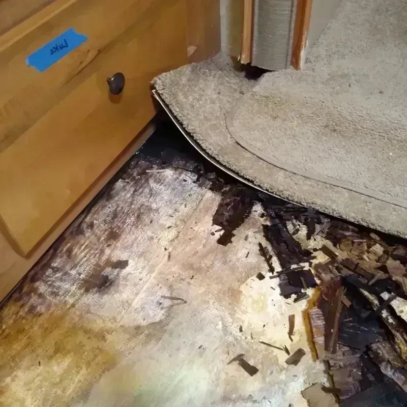 Wood Floor Water Damage in Waupaca, WI